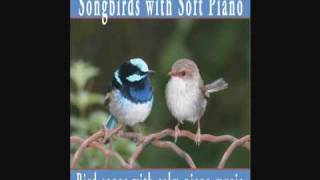 Songbirds with Soft Piano - Bird Songs with calm piano music