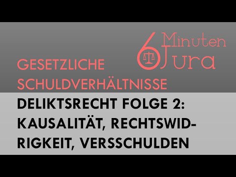Deliktsrecht Folge 2: Kausalität, Rechtswidrigkeit, Verschulden