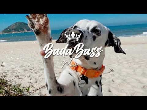 ► B A C K . T O . N O R M A L