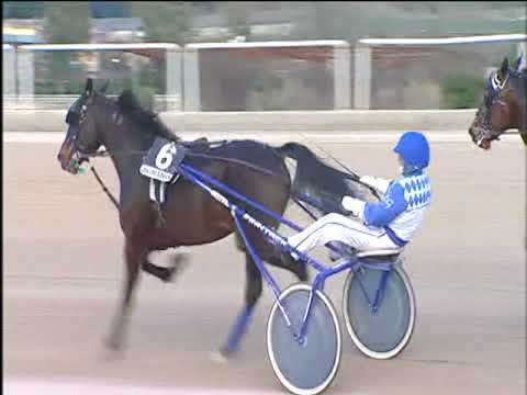 Trotto 09/03/2018 - 5ª corsa