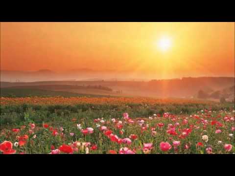 Ol' Boy & Sf-X - Gantiadi... Rogorc Ocneba