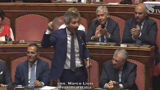 BAGARRE IN SENATO, SCONTRO TRA IL SENATORE LISEI E IL MOVIMENTO 5 STELLE SUL CAS