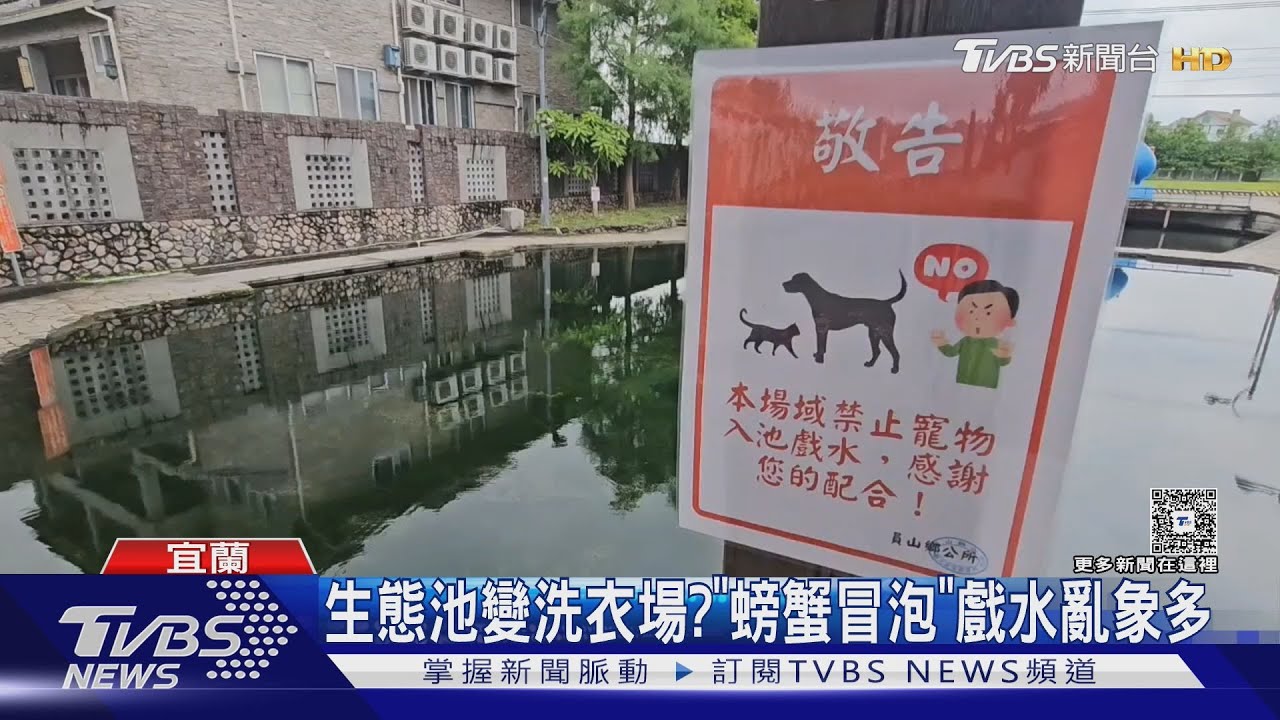 生態池變洗衣場? 「螃蟹冒泡」戲水亂象多