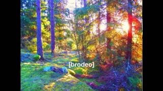 JSJones - Brodeo (Lagwagon)