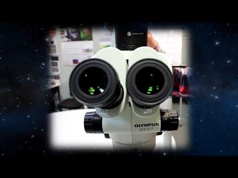 SZX7 Olympus Microscope