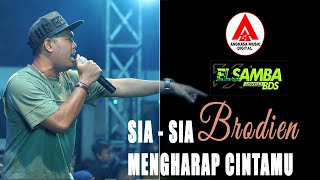 Download lagu Sia Sia Mengharap Cintamu - Brodien mp3