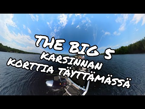 The Big 5 - korttia täyttämässä