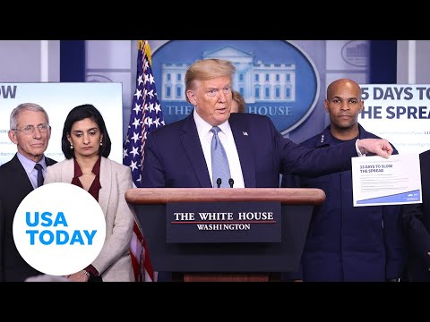 White House addresses coronavirus outbreak 3 24 2020 USA TODAY