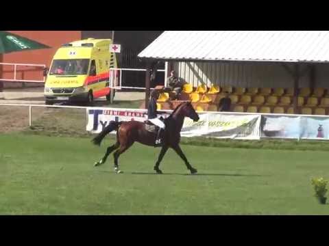 Ilona Turowska & LORDANZ - Young Horses Championships of Poland, 1st Qualifying Round
