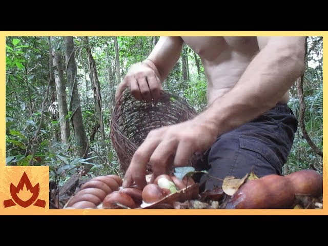 Видео Произношение Moreton Bay в Английский