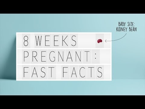 8 weeks pregnant: Fast facts