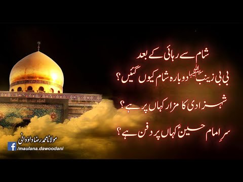 Why did Hazrat Zainab (SA) came to Syria again after getting released? | Maulana Raza Dawoodani