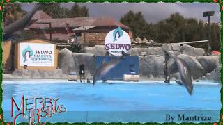 I met an Angel (On Christmas Day) - Auryn