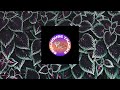 Vintage Culture & Sonny Fodera (feat. SHELLS) - Nightjar (Extended Mix)