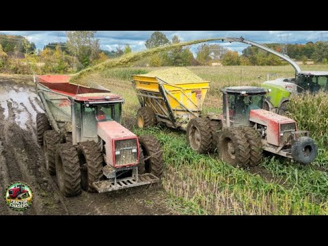 Fighting Mud Finishing Corn Silage Harvest