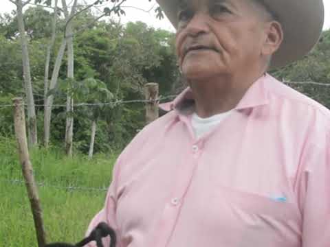 Viejo caporal del hato - Angel Vasquez