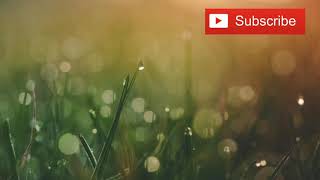 Download lagu Story Wa || balasan lagu adek berjilbab ungu versi terbaru 2019 mp3