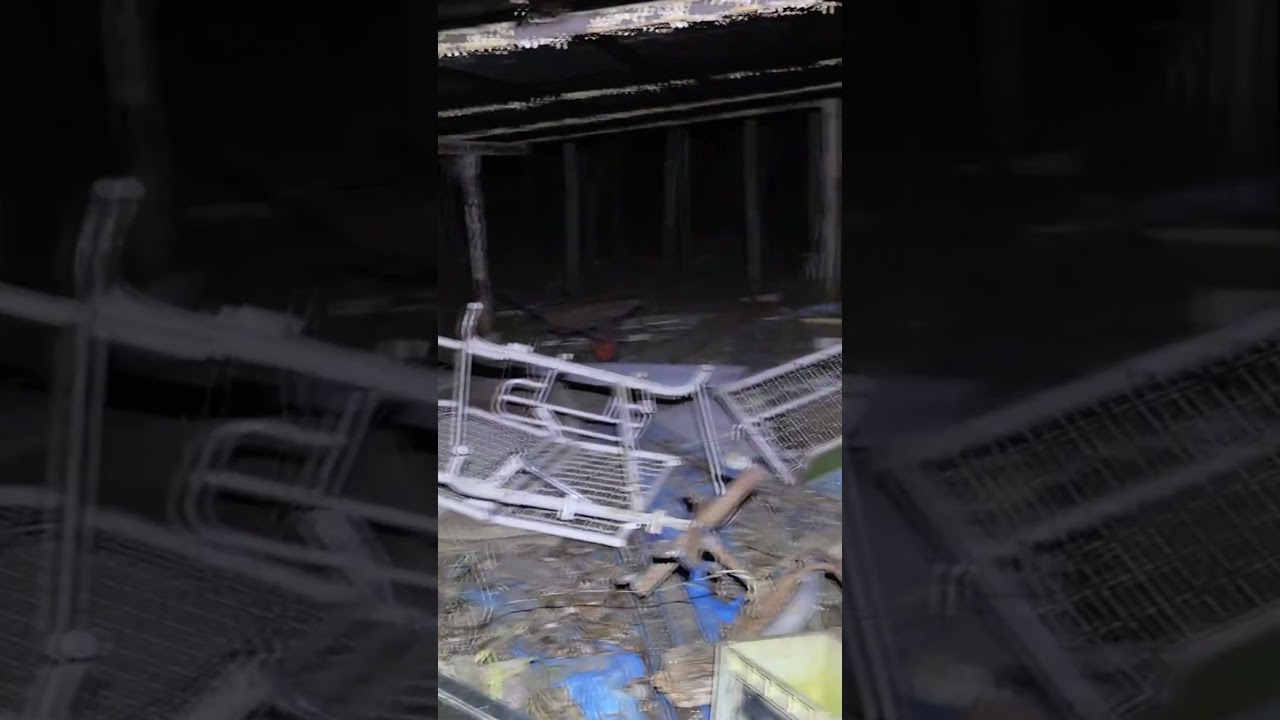 誰もいないはずの森で謎の声に怯えながら車中泊