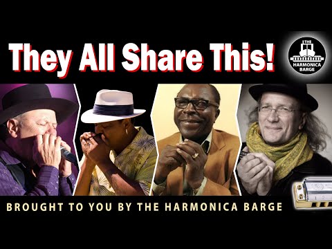 What do these 4 Great Harmonica Players all share?  (C Harp and optional Bb Required)