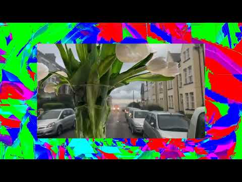 Gold Panda "The Dream" (Official Video)