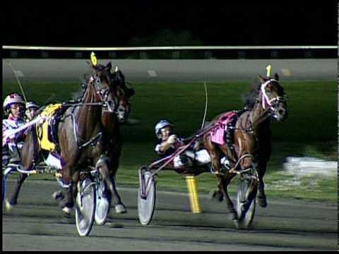 SBOA 3 YO Filly Pace Winner