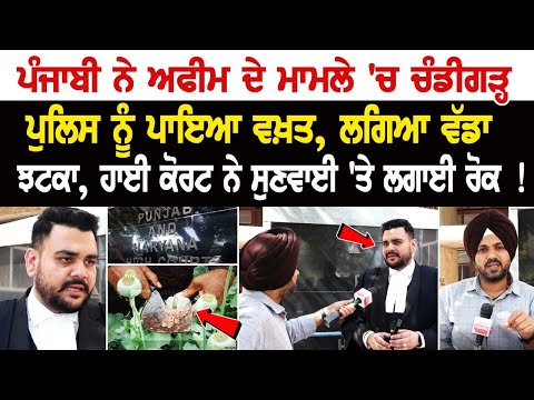 ਪੰਜਾਬੀ ਨੇ Afeem ਦੇ ਮਾਮਲੇ 'ਚ Chandigarh Police ਨੂੰ ਪਾਇਆ ਵਖ਼ਤ, ਲਗਿਆ ਵੱਡਾ ਝਟਕਾ, High Court ਨੇ ਸੁਣਵਾਈ