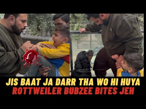 Rottweiler Bubzee Bites My Son Jeh Badly: Immediately Taken Jeh To Hospital