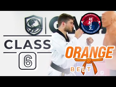 Taekwondo - Orange Belt - Class 6 thumbnail