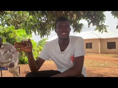 How to prepare prekese, ginger green tea🍵#ataya/Gambia,Senegal,Ghana, Nigeria/West Africa