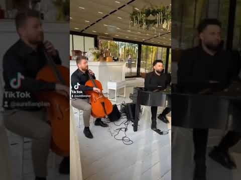 Pian si violoncel , Primirea invitatilor, cununie civila , nunta ,