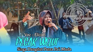 Download lagu PECAK WELUT - VOC : ELIZAH | PUTRA PA'I MUDA | BOCAH PROXENYOL | CIKO AUDIO | WANAKAYA BLOK 11 mp3