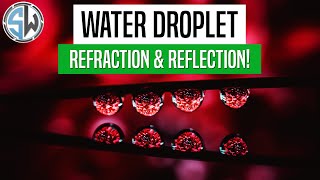 Water Droplet Refraction Reflection Photography | Macro Photography