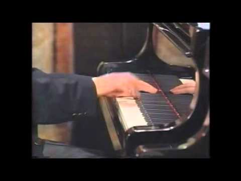 Cyprien Katsaris | Chopin Masterclass Vol.1 | Prelude Op.28-15