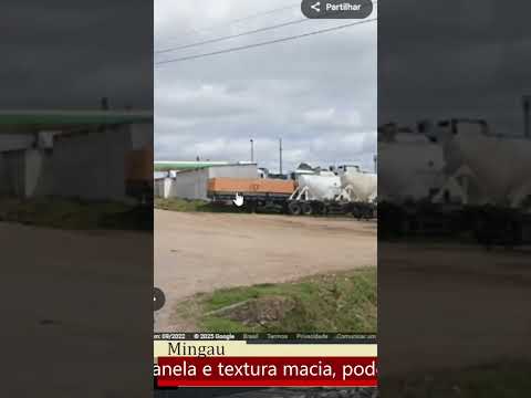 ACEGUA - RIO GRANDE DO SUL - CORTES