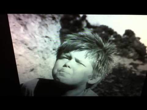 I got your specs for you right here, Piggy.