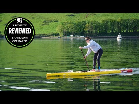 Race or Touring iSUP? We compare the Shark SUP race & Touring board