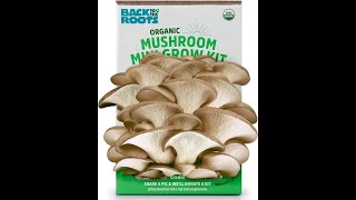 Mini Mushroom Grow Kit - Setup, Results, & Review | Grow mushrooms at home | Back to the Roots
