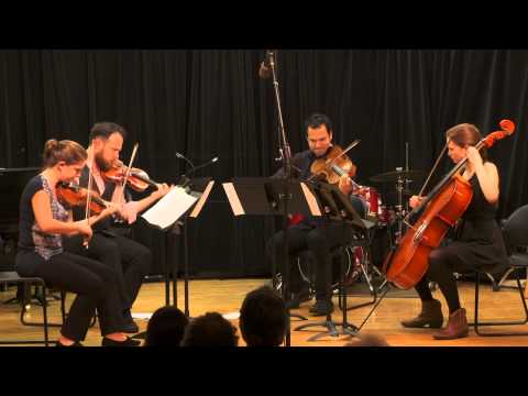 Spyglass - composed by Daniel Kelly, performed by Mivos Quartet