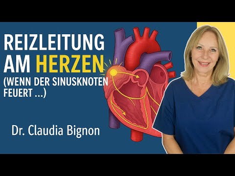 Cardiac Conduction (When the Sinoatrial Node Fires...) | Dr. Claudia Bignion