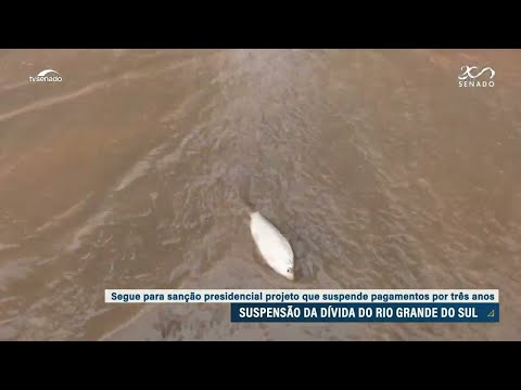 Senado aprova suspensão da dívida do RS com a União por três anos