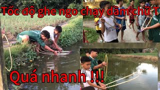 Đua ghe ngo điên điển chạy dầm chữ T