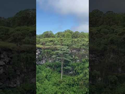 #Galapagos #LosGemelos #crater #volcano inactivo #santacruz #turismo #nature