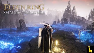 【エルデンリングDLC】#5 SHADOW OF THE ERDTREE 本筋から外れすぎてキレイな青海岸へ 落葉のダン 古竜人 火の騎士、クウィライン ELDEN LING 字幕実況