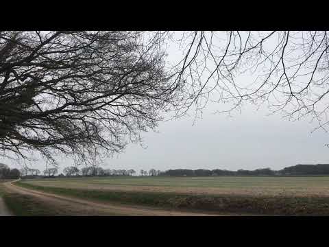 Hunebed G1 bij Noordlaren