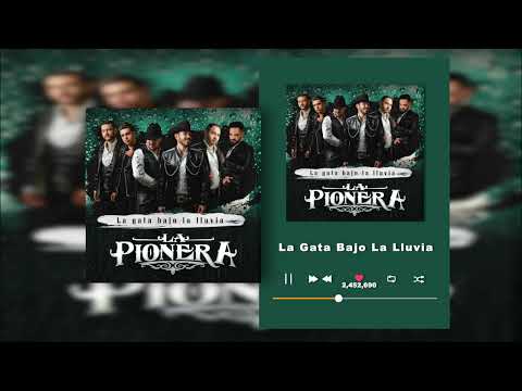 La Pionera - La Gata Bajo La Lluvia  (Audio)
