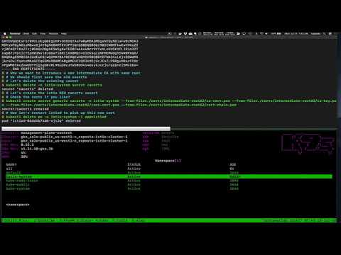 Istio 1.6 Deep Dive Certificate Rotation - Part 2