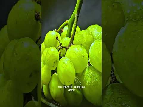 фото лазерный проектор formovie cinema edge 4k laser (укф) 0