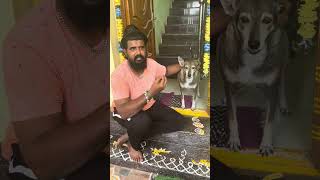 நல்லதே  நினைப்போம் 🙌  நல்லதே நடக்கும் 🔥🔥| #dog #doglover #pet #cat #puppy #savedogs