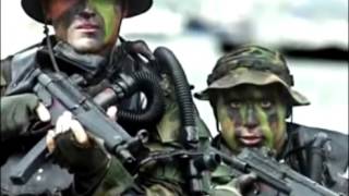 This Ain&#39;t No Rag It&#39;s A Flag by Charlie Daniels