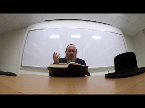 Rav Moshe Weinberger Likutey Halachot #1
